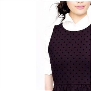 J Crew Polka Dot Ponte Dress